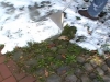 ref-heiss-schaum5