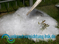 Unkrautbekämpfung ohne Chemie